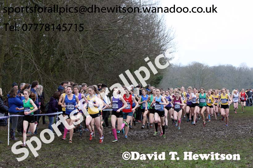 Womens under-20s Inter Counties Cross Country, Prestwold Hall, Loughborough. Photo: David T. Hewitson/Sports for All Pics